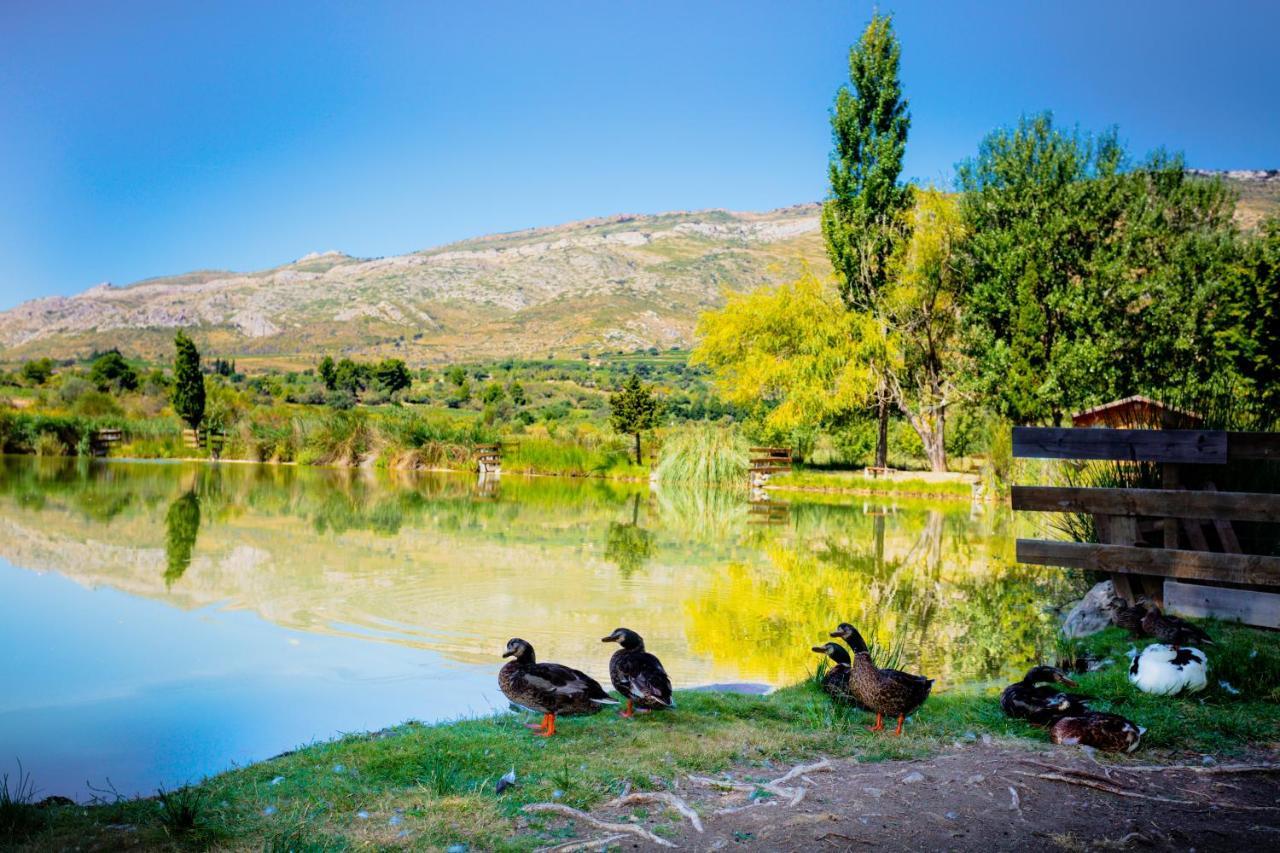 Camping La Peiriere Tuchan Екстериор снимка